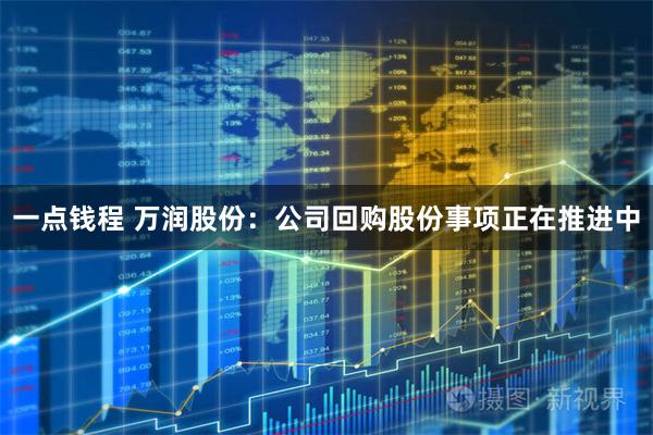 一点钱程 万润股份：公司回购股份事项正在推进中